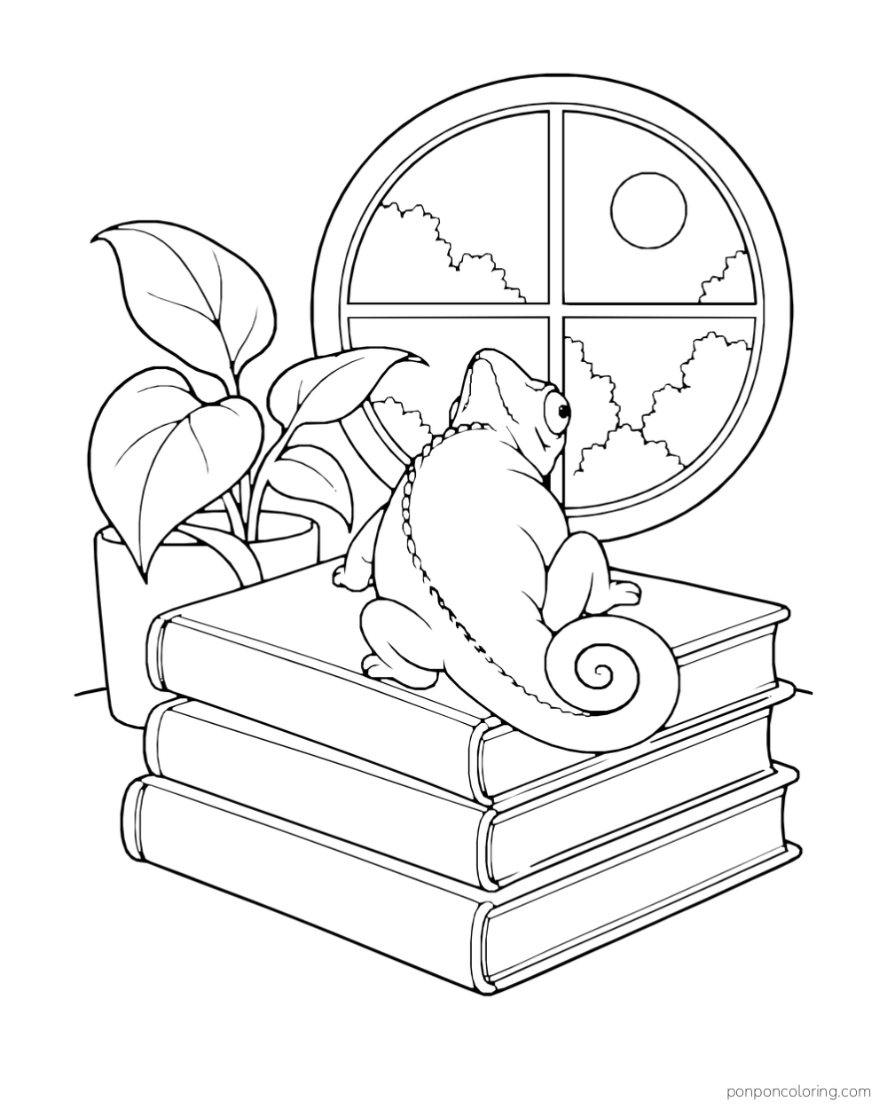 Seen from behind, a chameleon sits on a stack of three books facing a round window.
