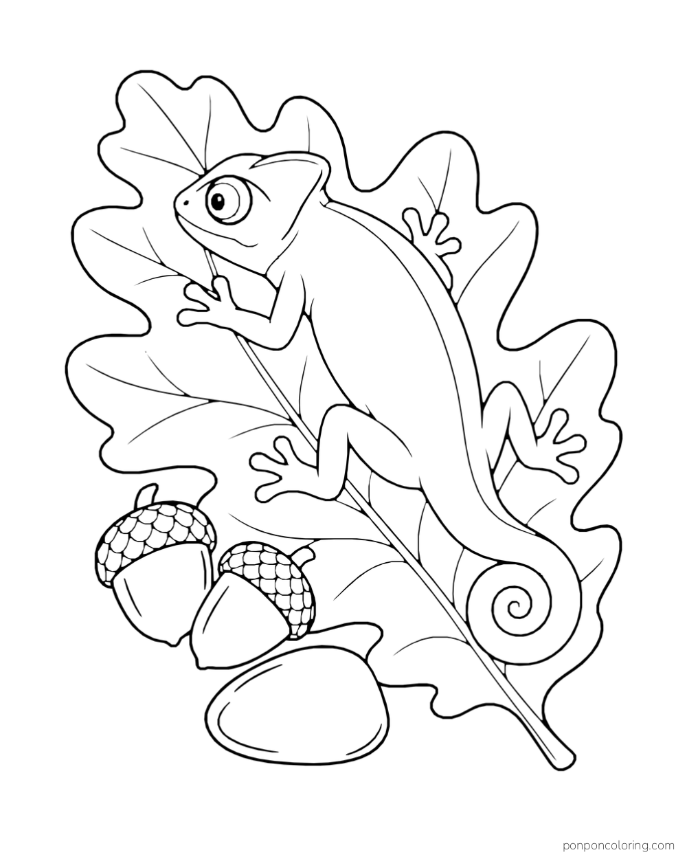 A chameleon rests across a broad oak leaf beside two acorns and a smooth stone.