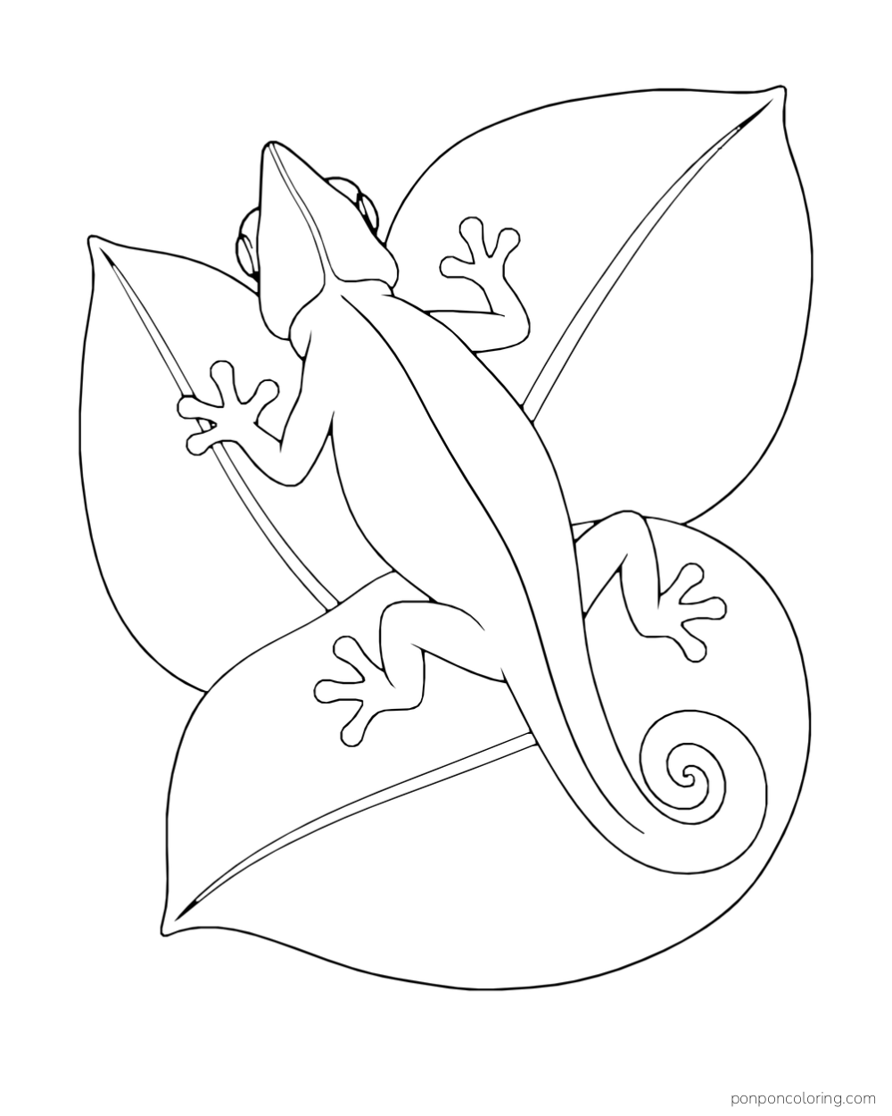 Seen from above, a chameleon walks across three broad overlapping leaves.