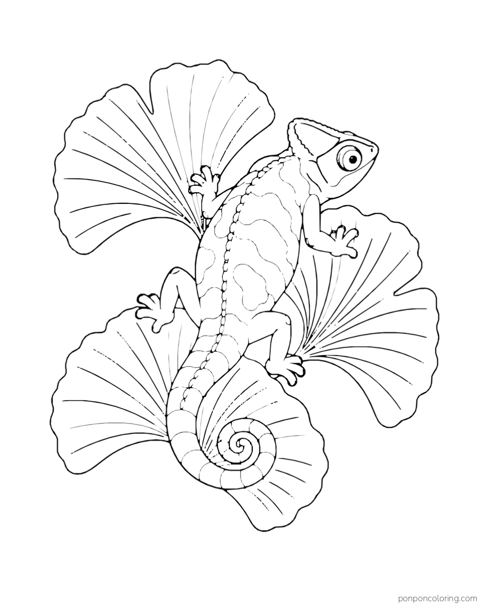 Seen from above, a chameleon rests across three broad ginkgo leaves.