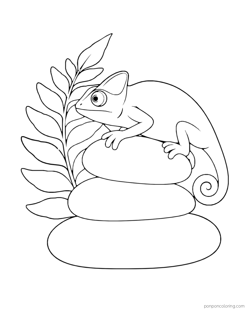 A chameleon rests on three smooth stacked stones beside a fern frond.
