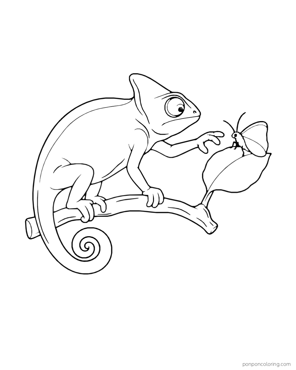 A chameleon on a short branch reaches toward a moth resting on a broad leaf.