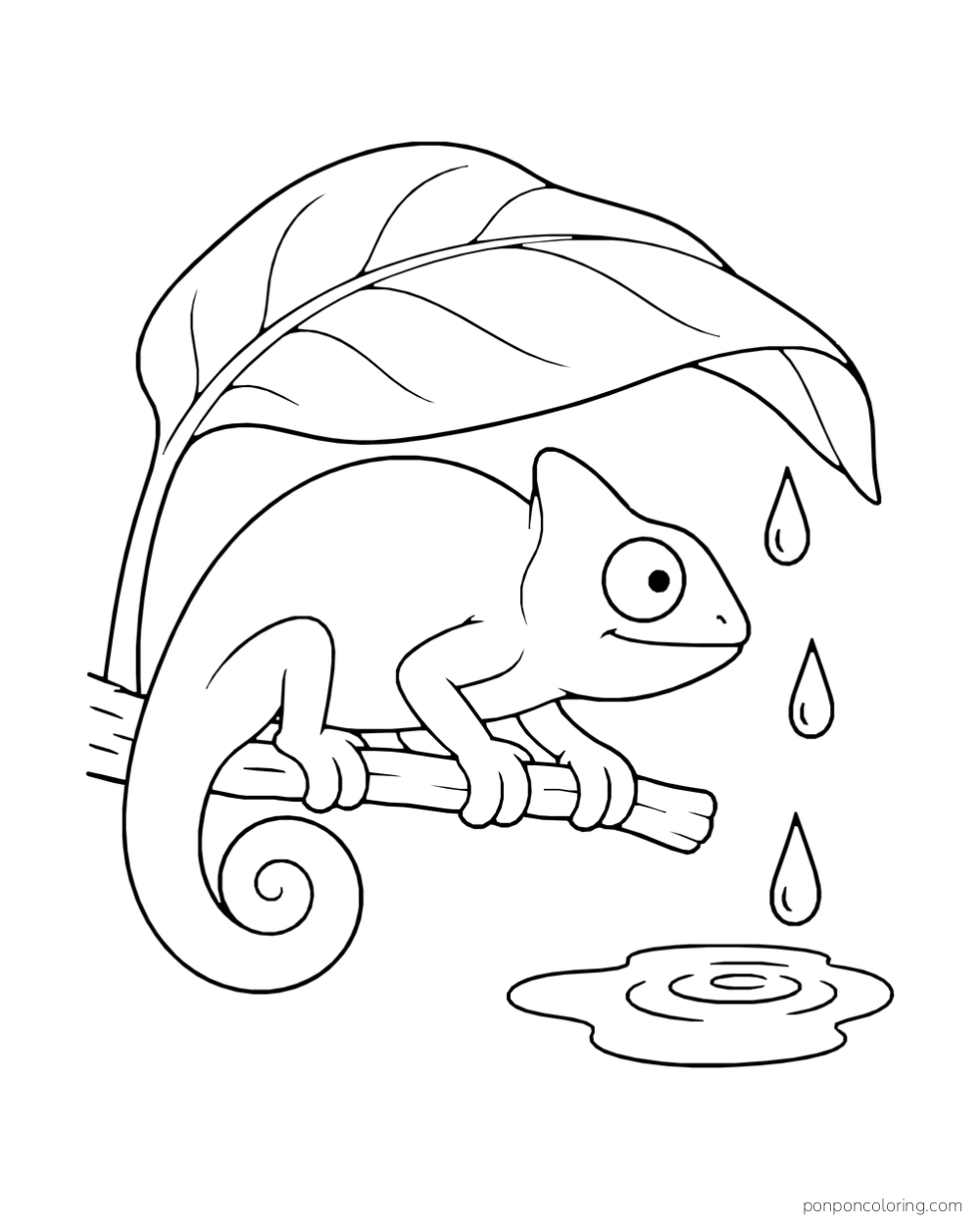 A chameleon sits on a short branch under a broad leaf as three raindrops fall beside a small puddle.