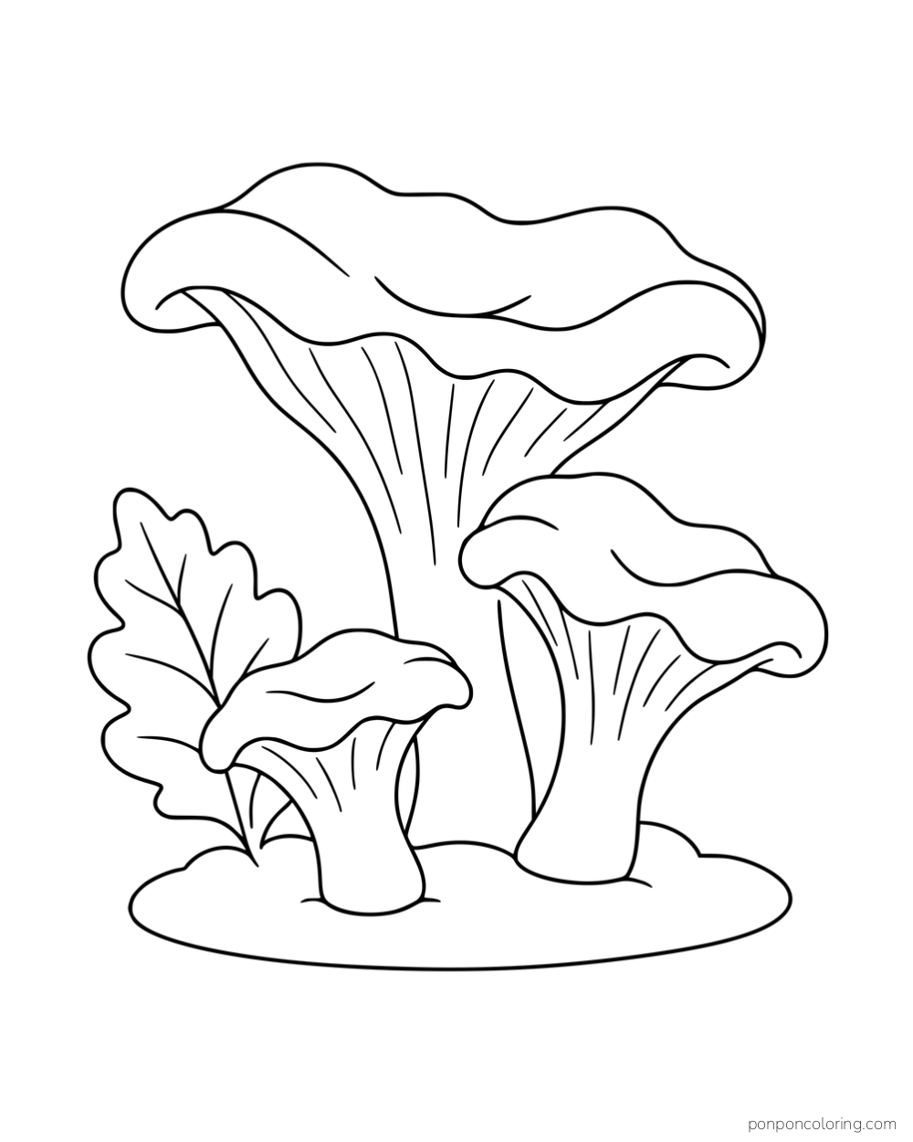 Three wavy, funnel-shaped chanterelles beside a broad leaf on a small ground patch.