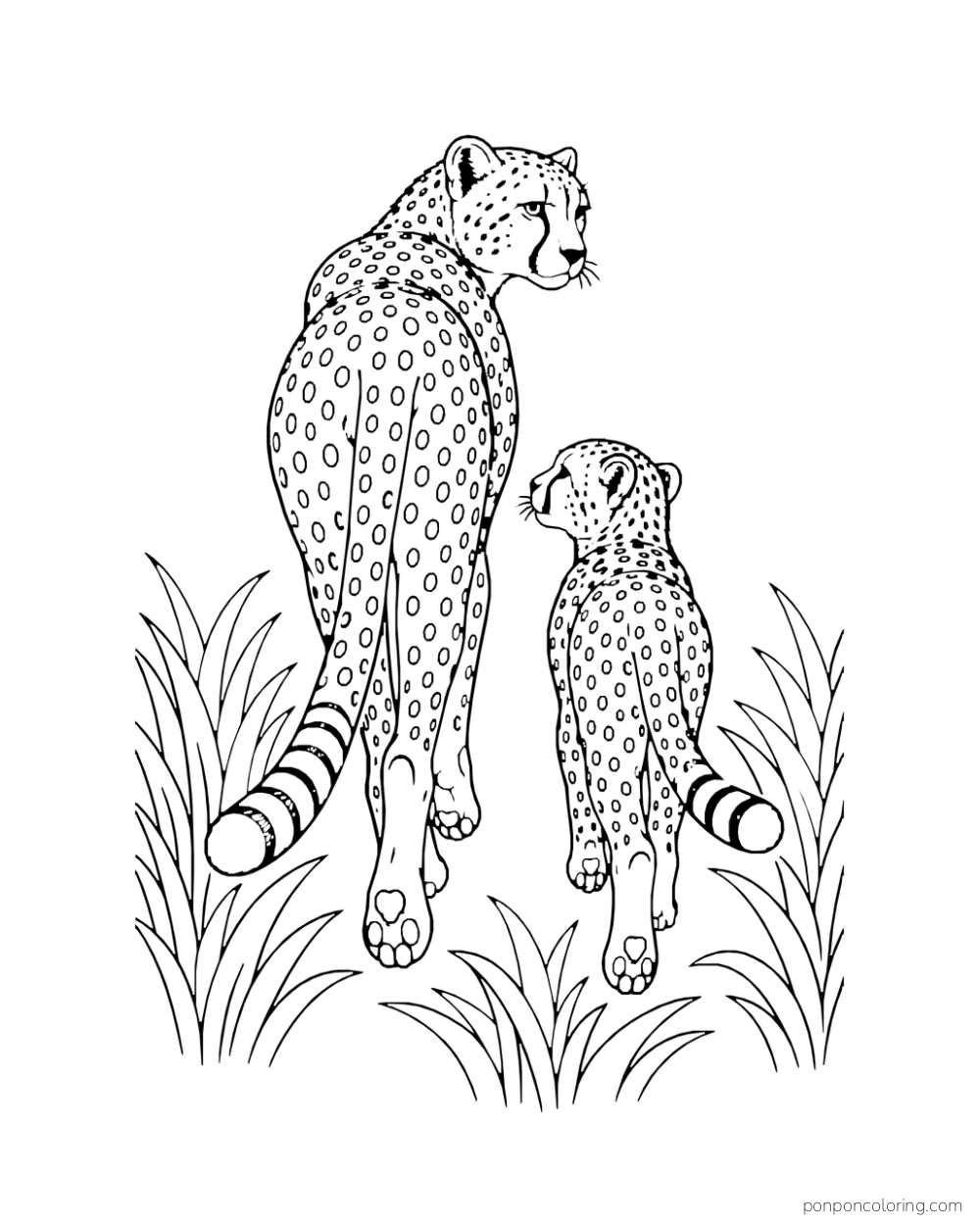 A cheetah and cub walk away through tall grass while the adult glances back.