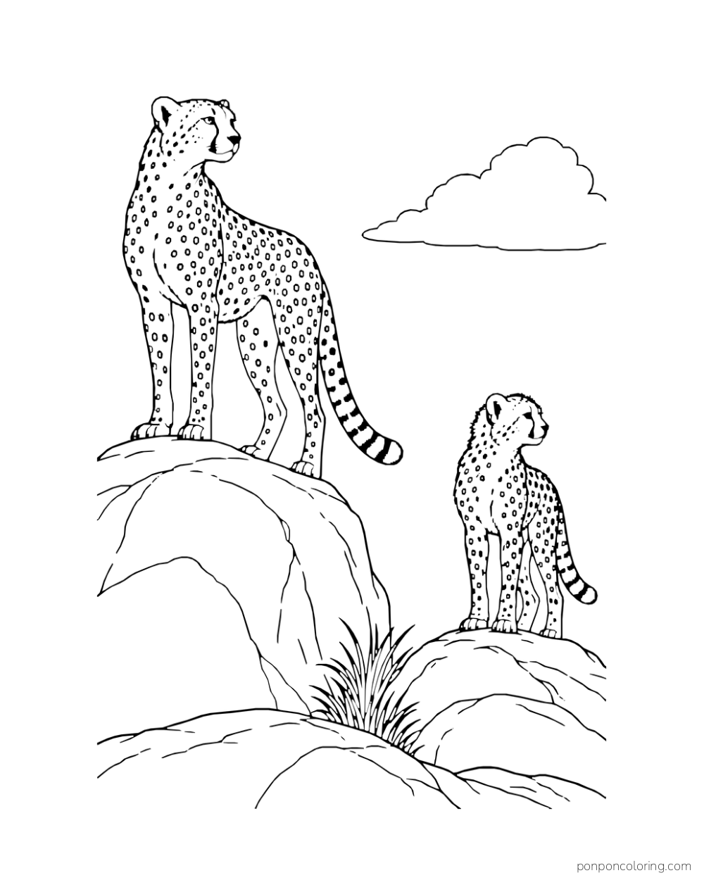 An adult cheetah and a cub stand on separate rounded rocks beneath a cloud.