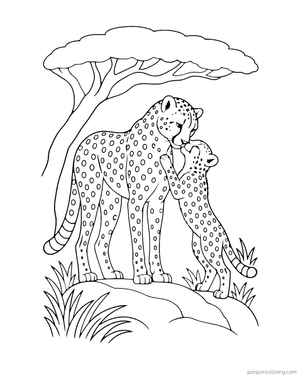 A cheetah lowers its head toward a cub beneath a broad acacia canopy.