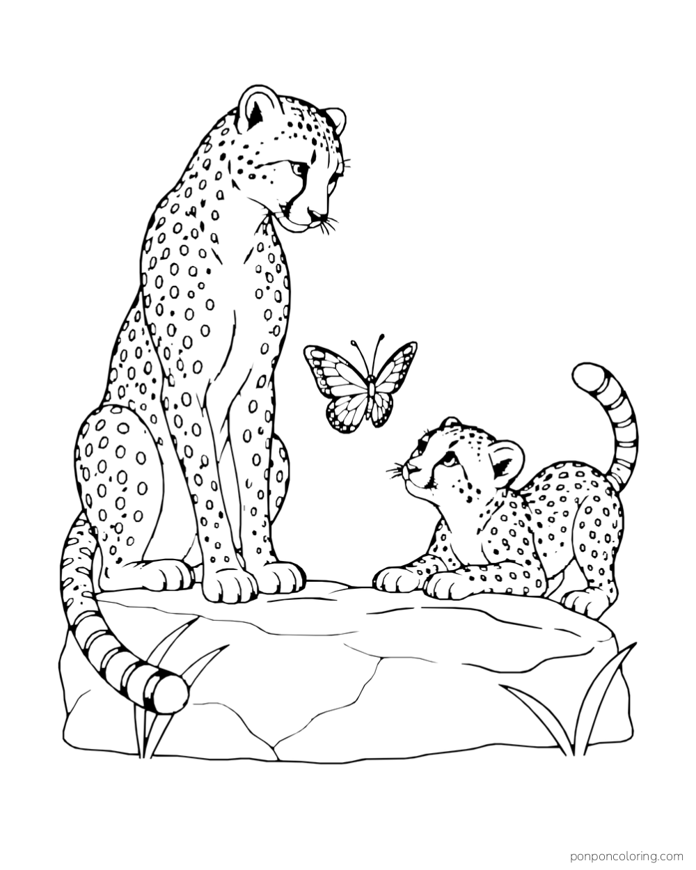 An adult cheetah and cub watch a butterfly near a broad stone.