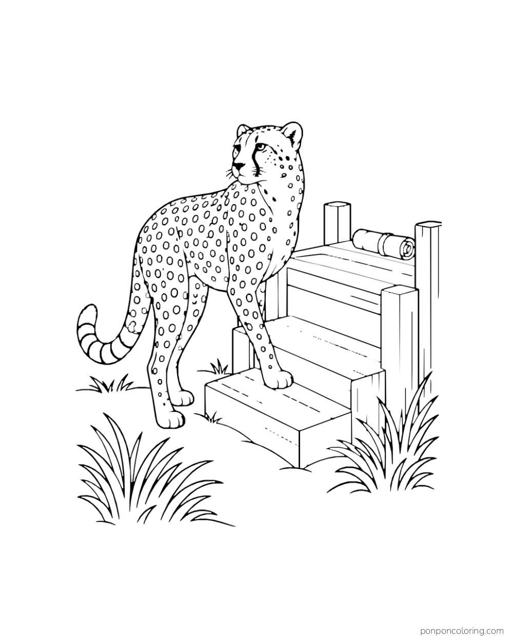 A cheetah places one paw on the steps of a small wooden platform.