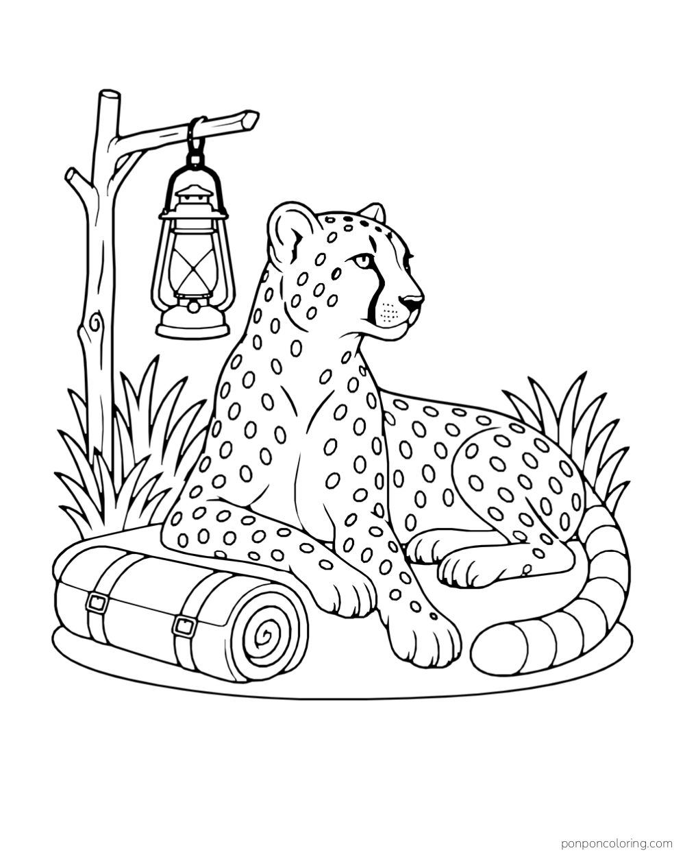 A cheetah rests beside a hanging lantern and a rolled blanket.