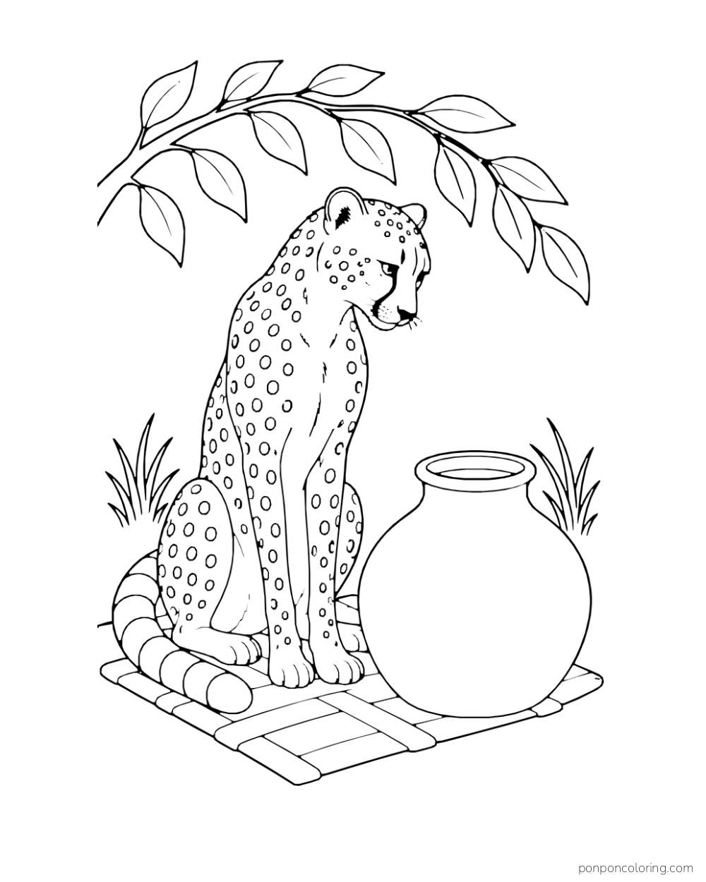 A seated cheetah looks toward a large clay jug on a simple mat.