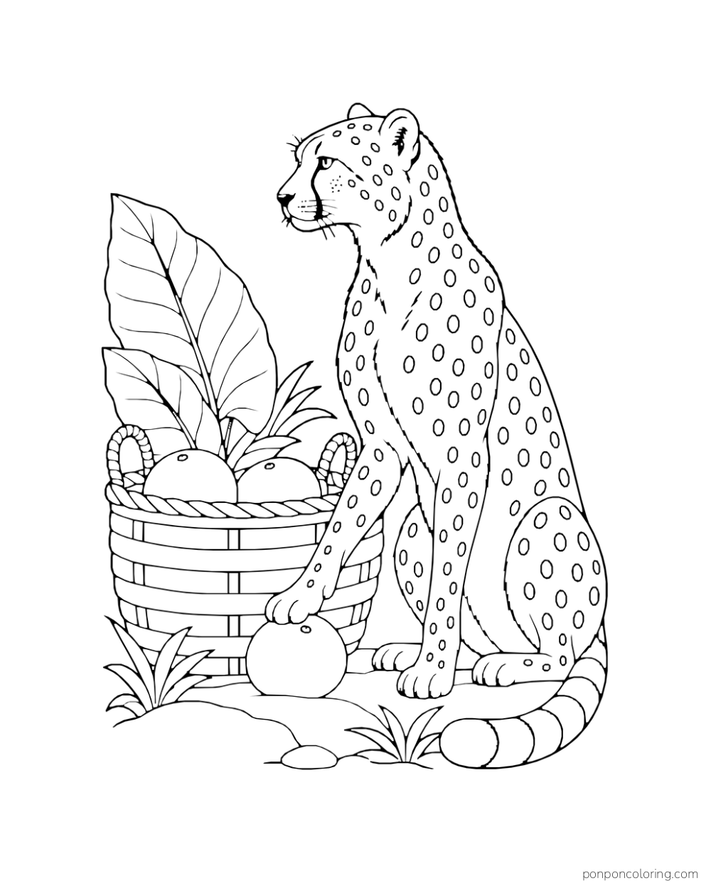 A seated cheetah rests one paw on a round fruit beside a woven basket.