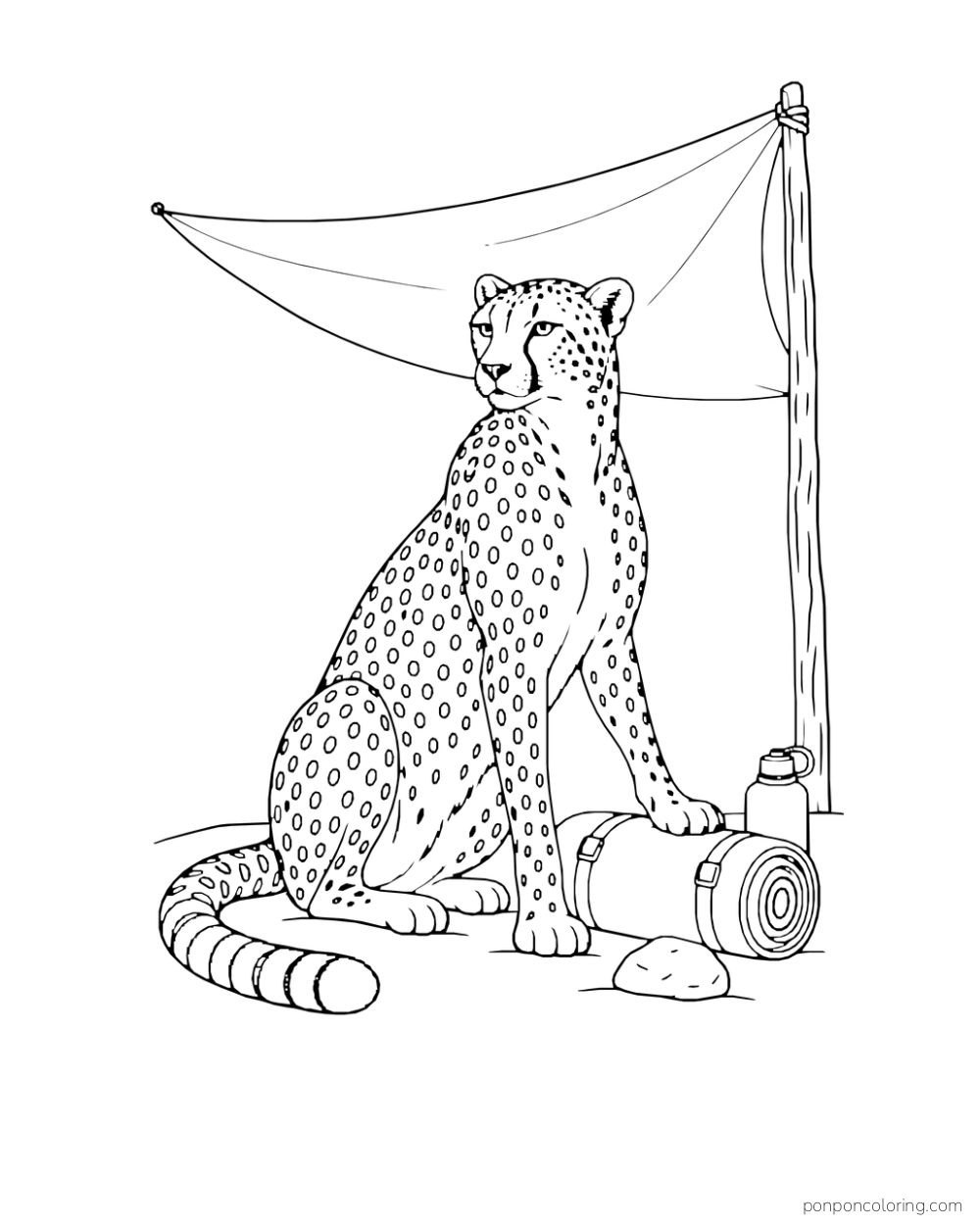 A seated cheetah rests a paw on a rolled mat beneath a fabric sunshade.