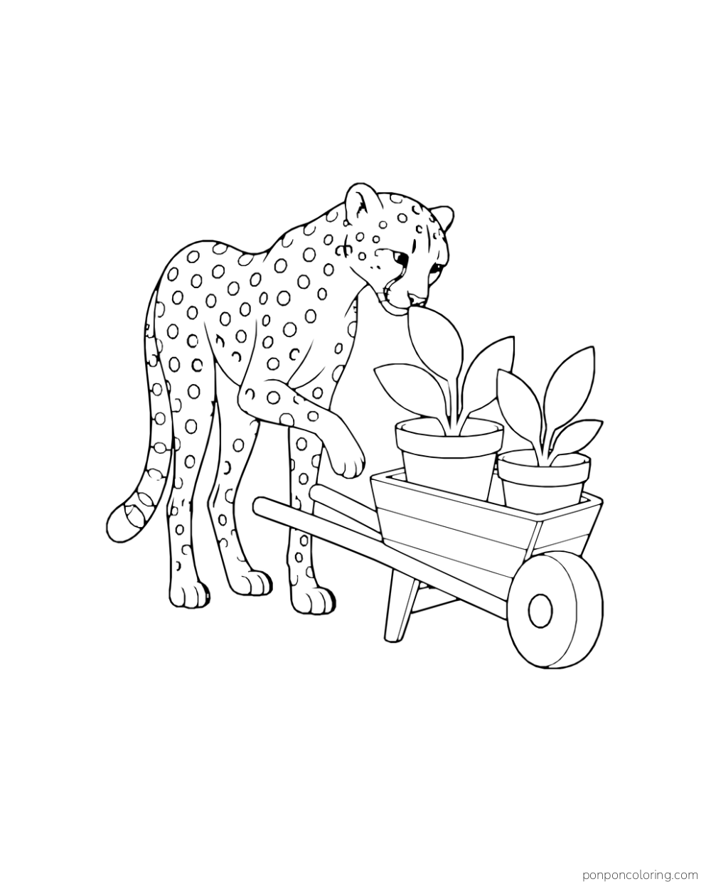 A cheetah stands beside a wheelbarrow carrying two potted plants.