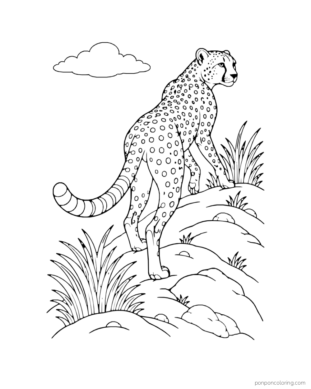 A cheetah strides uphill along a rounded ridge in rear three-quarter view.