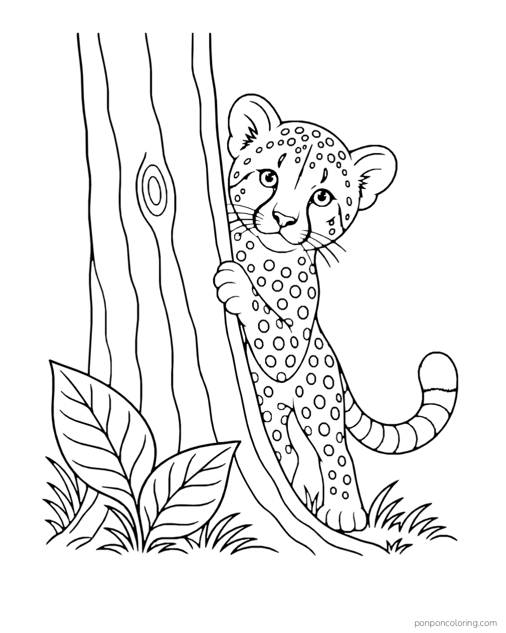 A cheetah cub peeks around a wide tree trunk with leaves at its base.