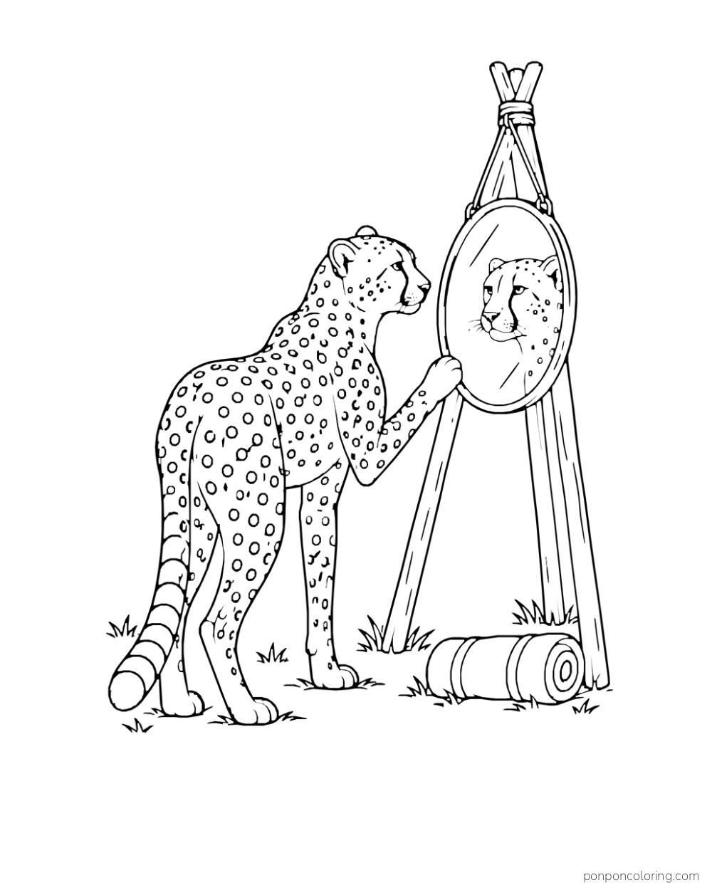 A cheetah touches the rim of a hanging round mirror that reflects its face.