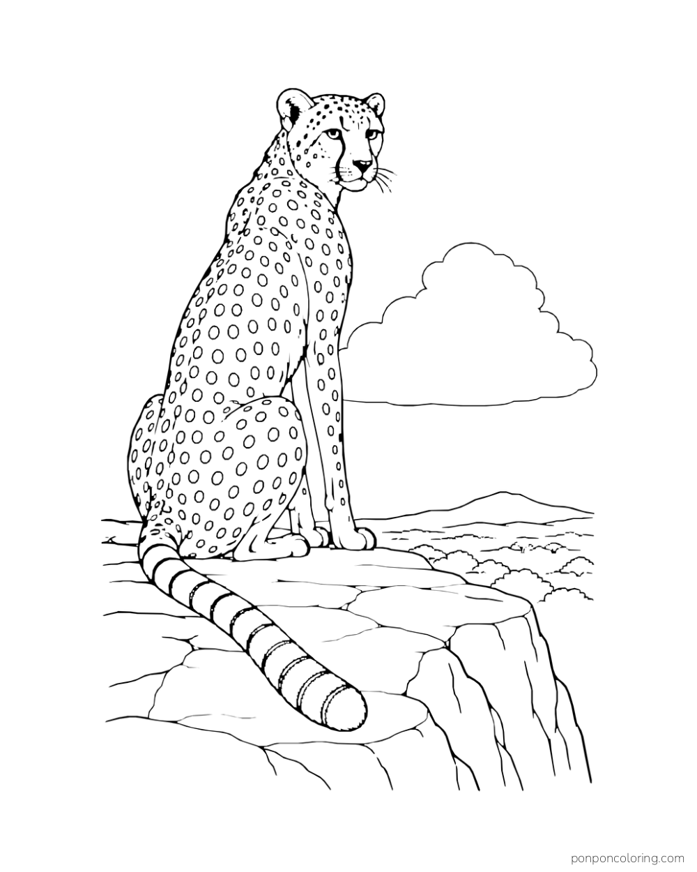 A cheetah sits on a high rock ledge with a cloud and low hills beyond.