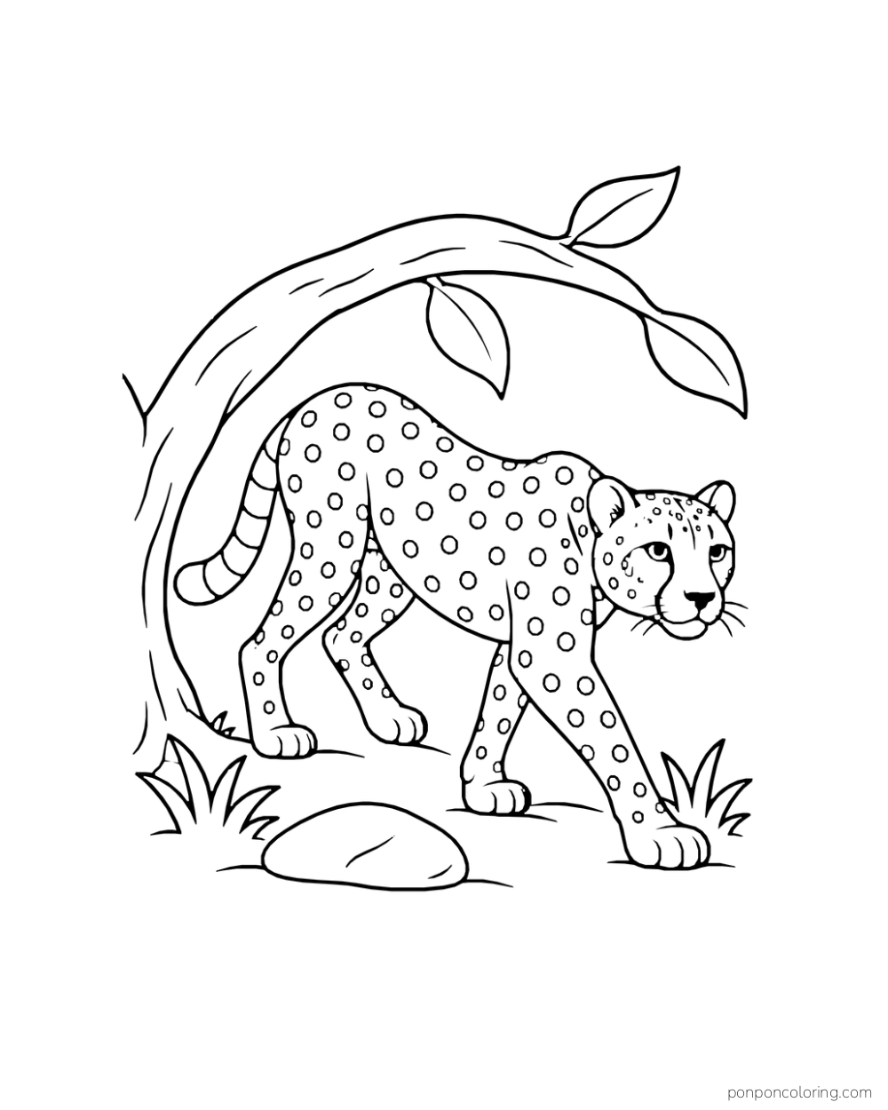 A cheetah crouches as it walks beneath a low curved branch.