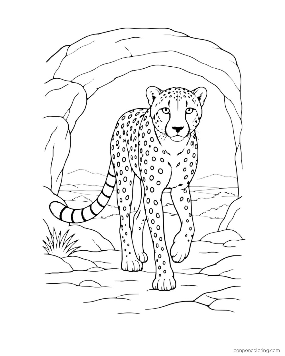 A cheetah walks toward the viewer beneath a broad natural rock arch.