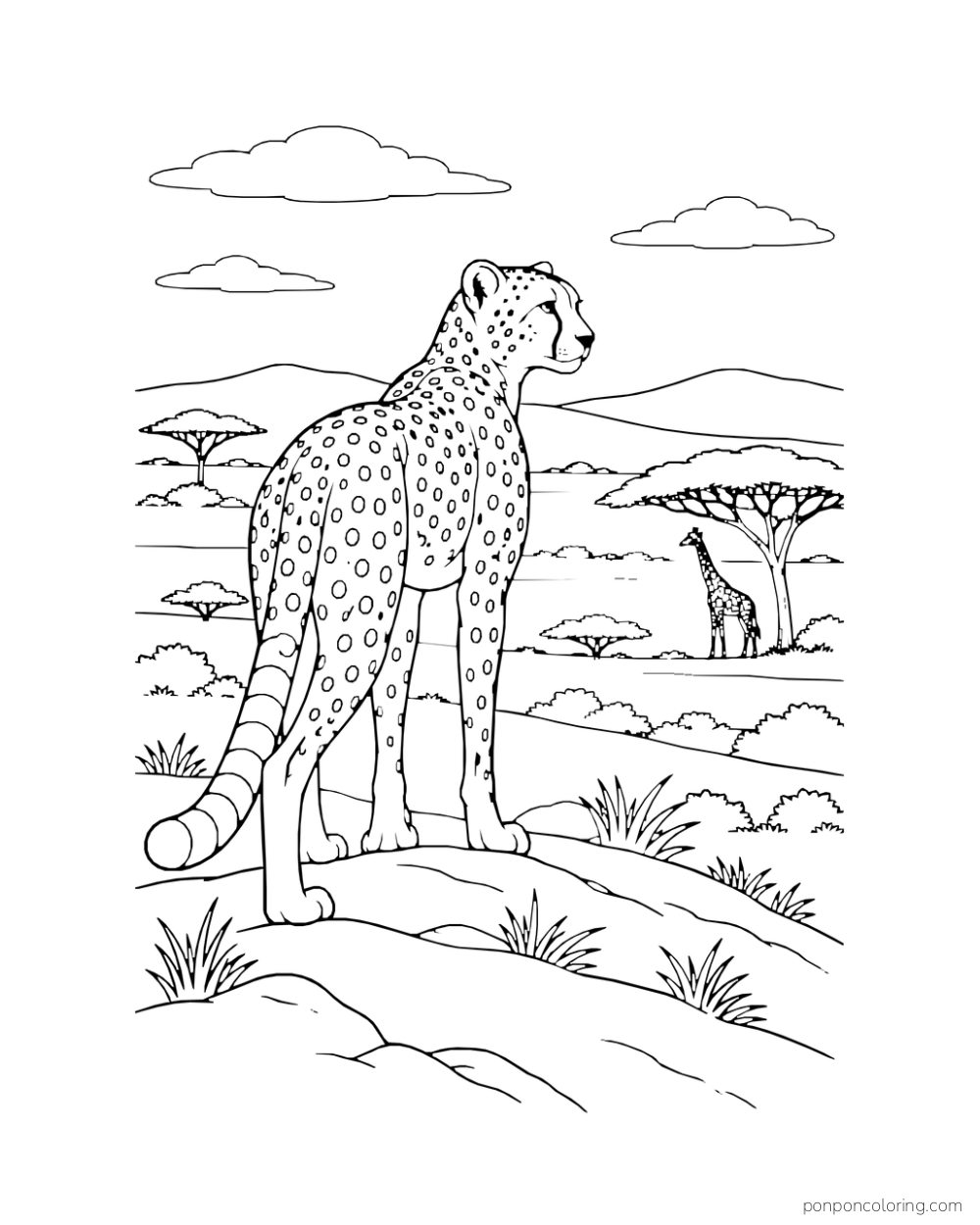 A cheetah stands on a ridge looking toward a small giraffe beneath an acacia.