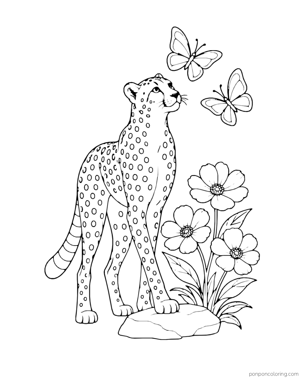 A cheetah watches two butterflies above a cluster of broad flowers.