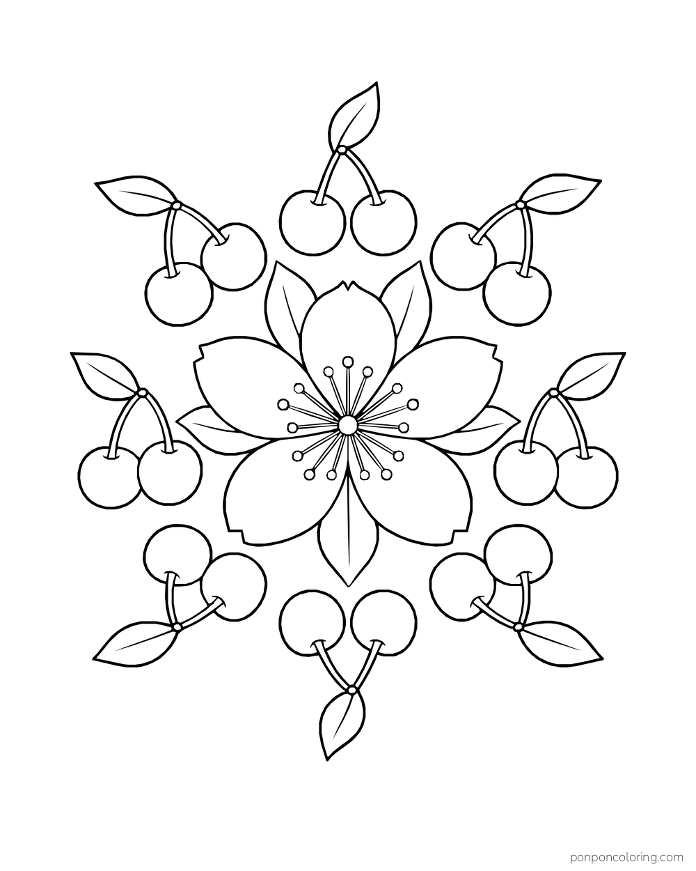 A large cherry blossom forms a rosette with fruit pairs arranged around it.