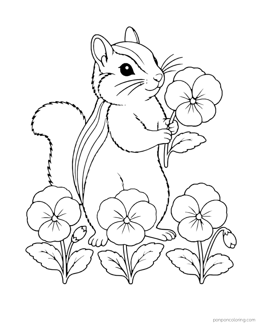 A striped chipmunk holds a pansy while standing behind three more pansy plants.