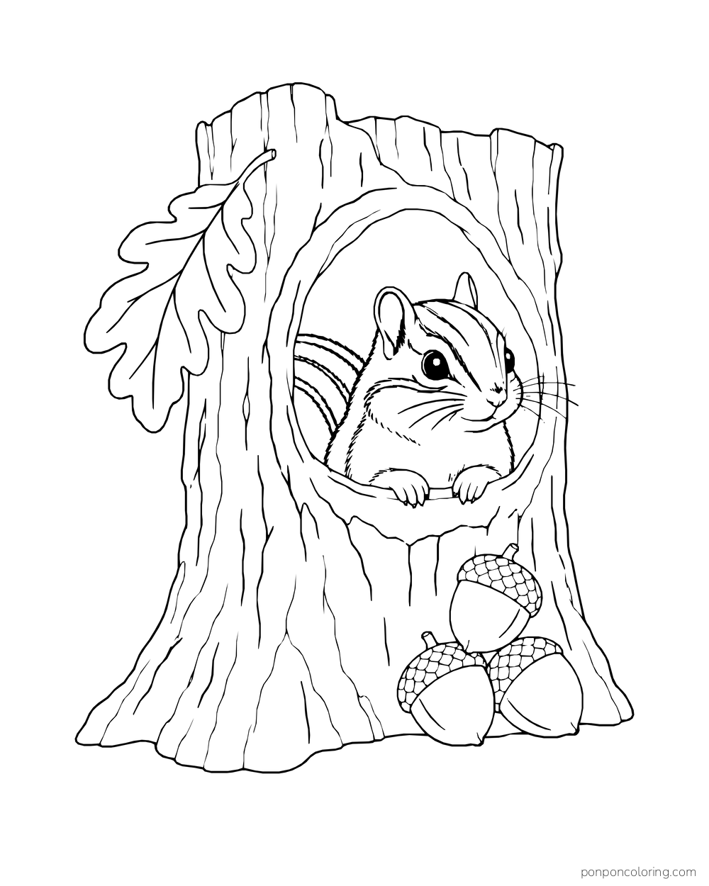 A striped chipmunk peeks from a tree hollow above three acorns at the trunk base.