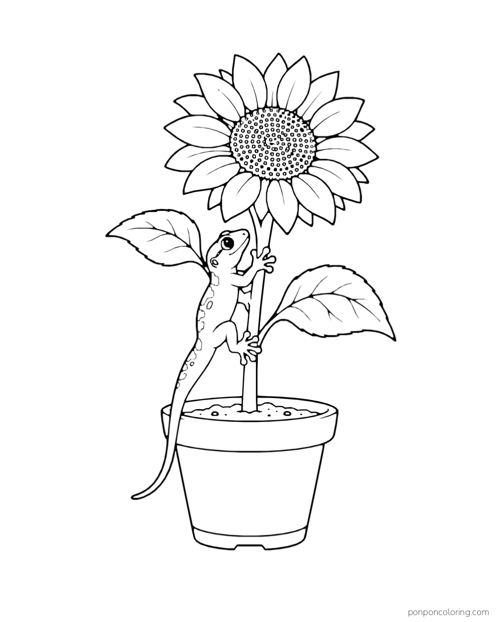 A gecko climbs the stem of a sunflower growing in a round pot with two broad leaves.