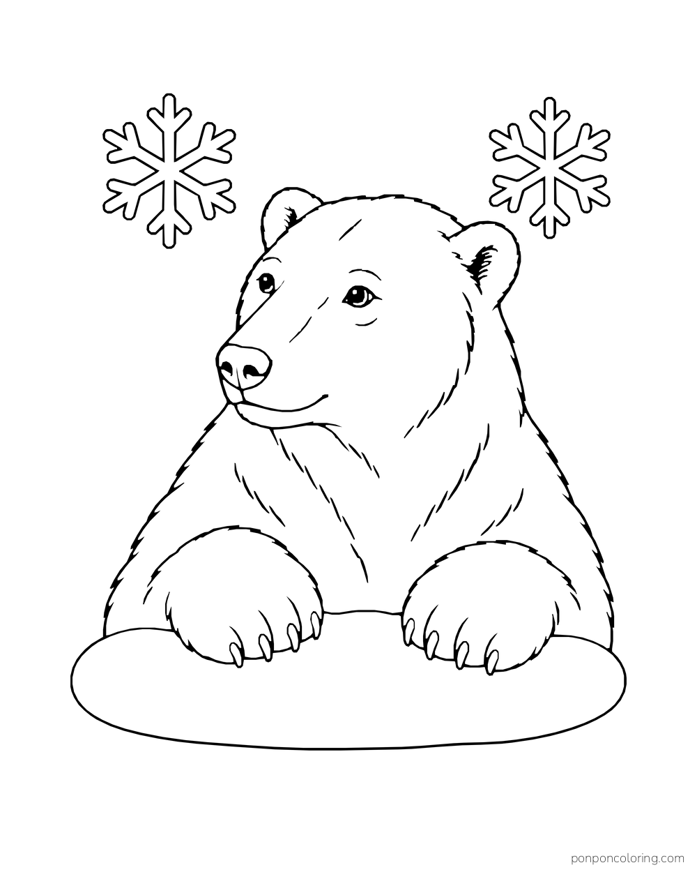 A close view shows a polar bear with its two front paws resting on a low snow ledge.