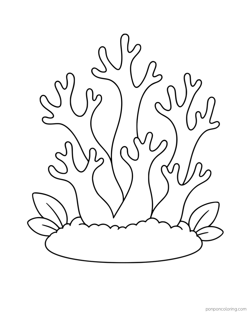 Branching coral fungi with forked tips on a small mossy mound beside leaves.