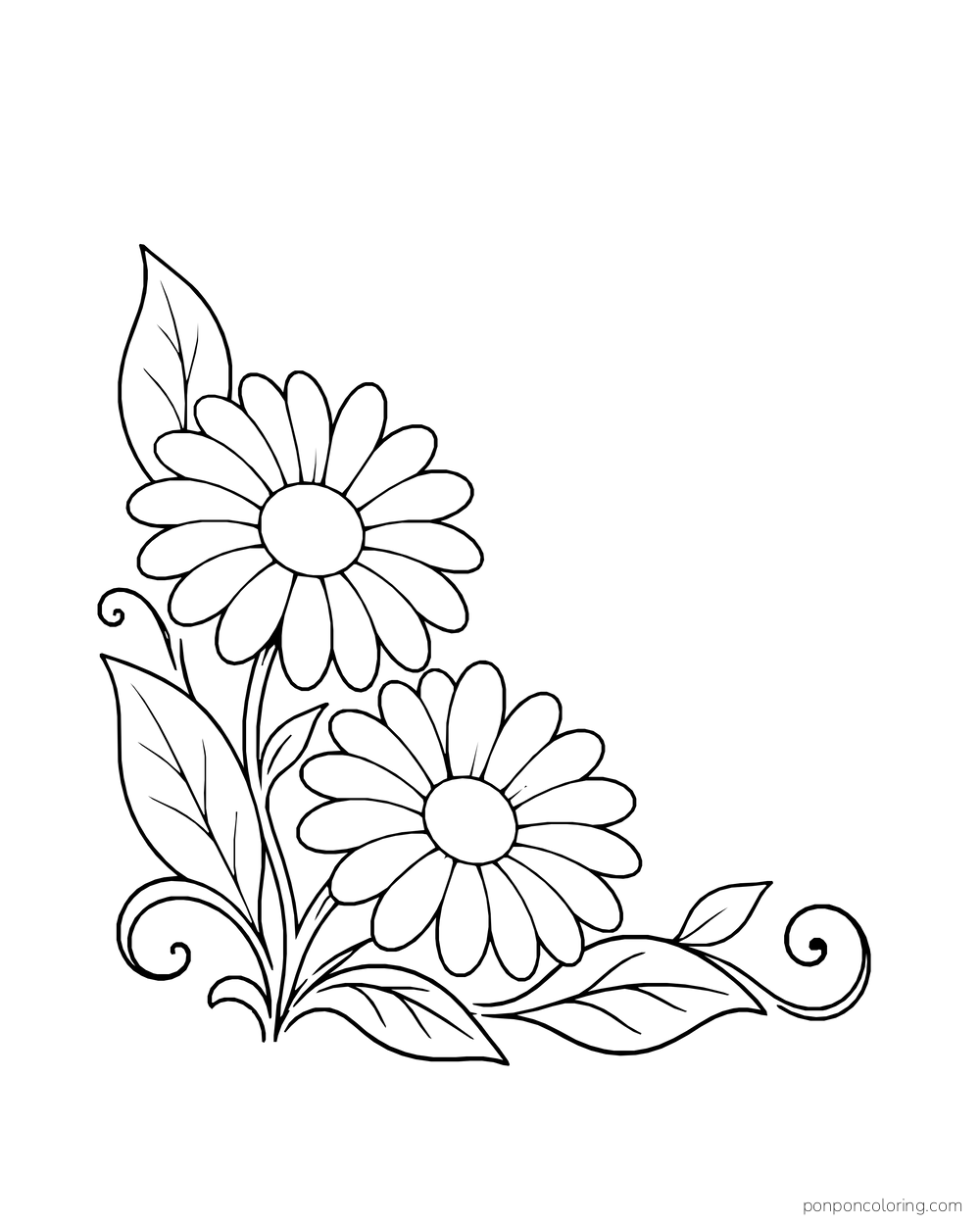 Two daisies and broad leaves make a lower corner flourish with curling stems.