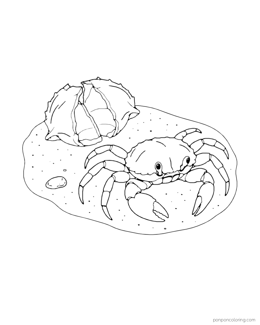 A crab stands beside a large hollow, split shell on a small sandy patch.