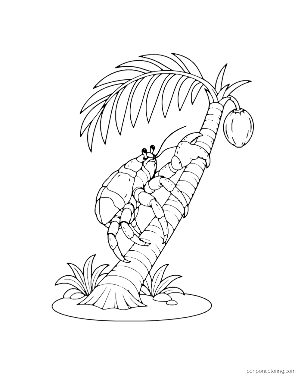 A crab grips a leaning palm trunk beneath one frond and a hanging coconut.