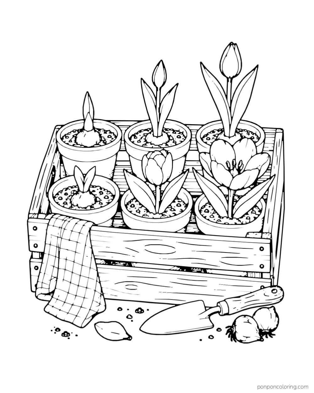 A wooden crate holding six small tulip pots, with a cloth and trowel nearby.