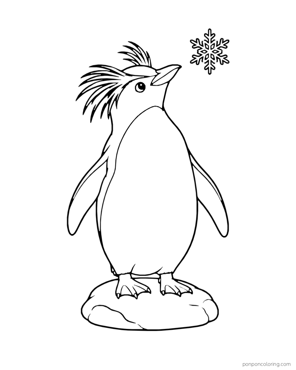A crested penguin stands on a rock and looks up at a large snowflake.