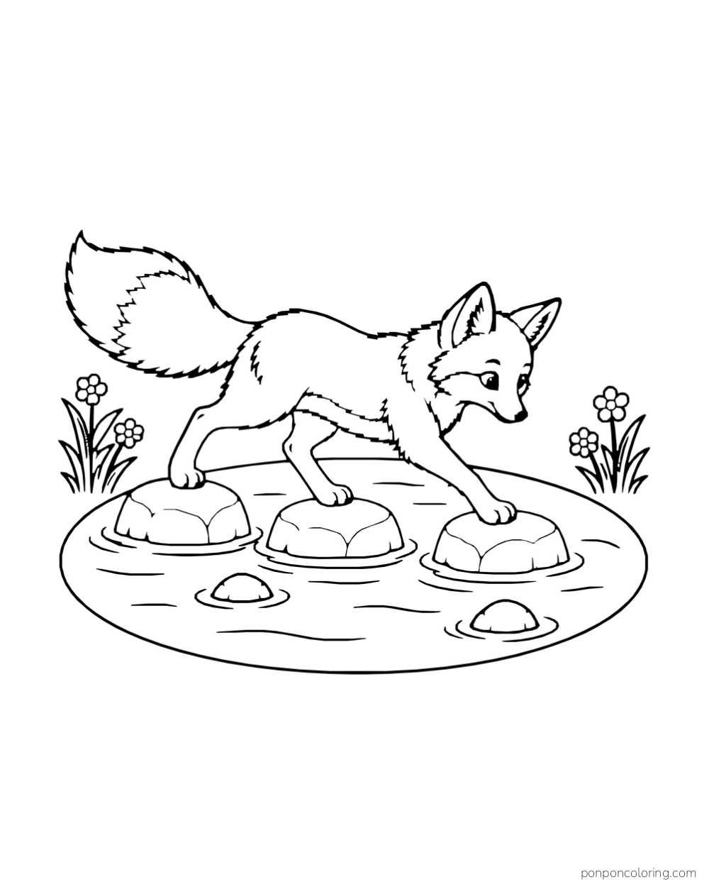 A fox steps across three stones in a small enclosed pool.