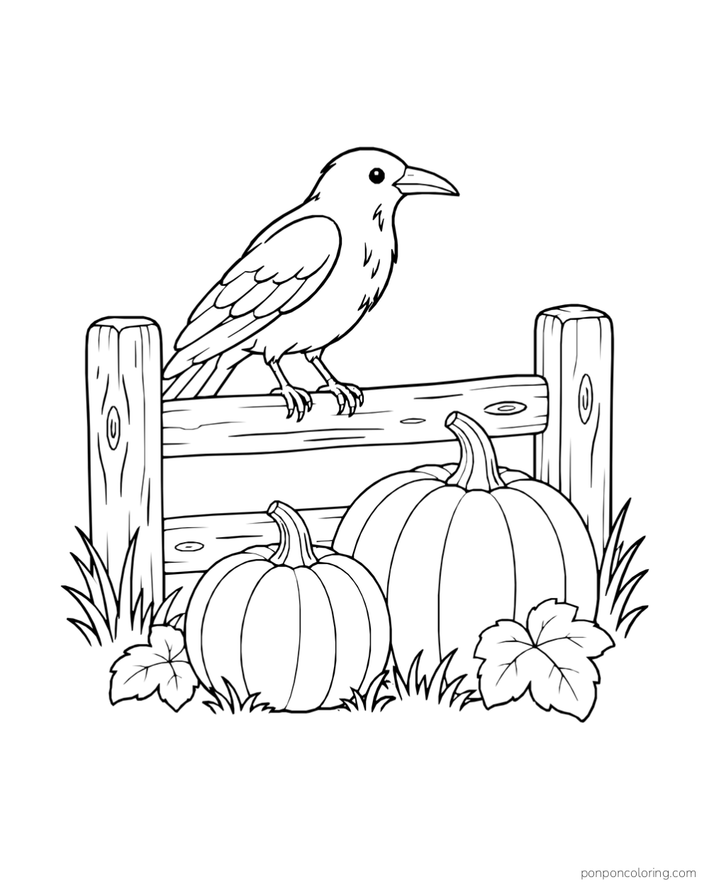 A crow perched on a low wooden fence behind two pumpkins and broad leaves.