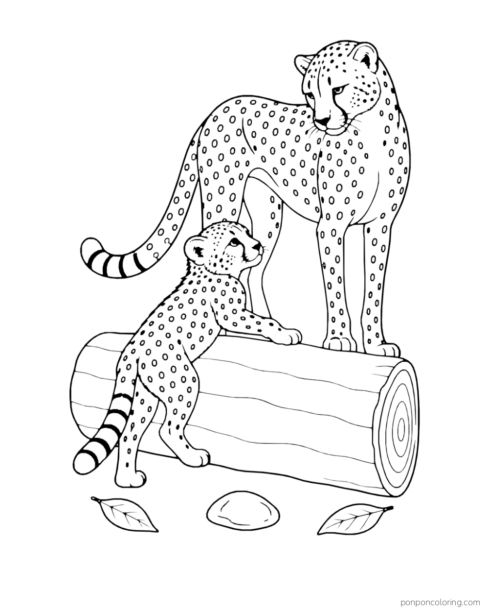A cheetah cub puts its front paws on a fallen log while an adult stands nearby.