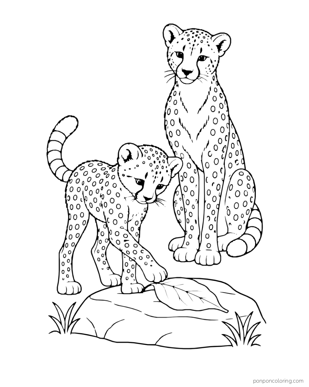 A cheetah cub reaches toward a fallen leaf on a rock while an adult sits behind it.