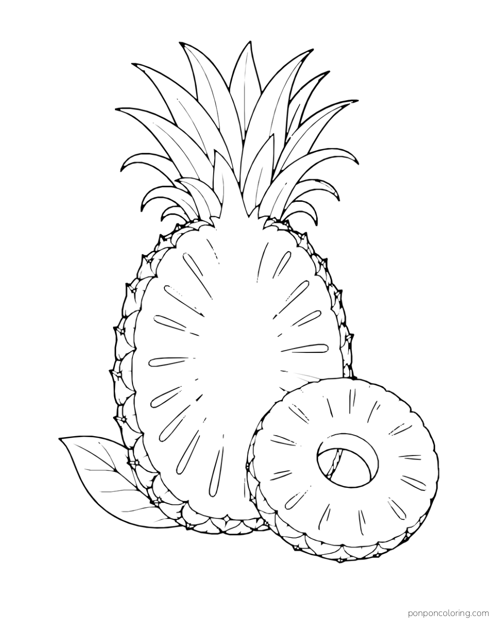 Upright cut pineapple half with a leafy crown and one thick ring overlapping its base.