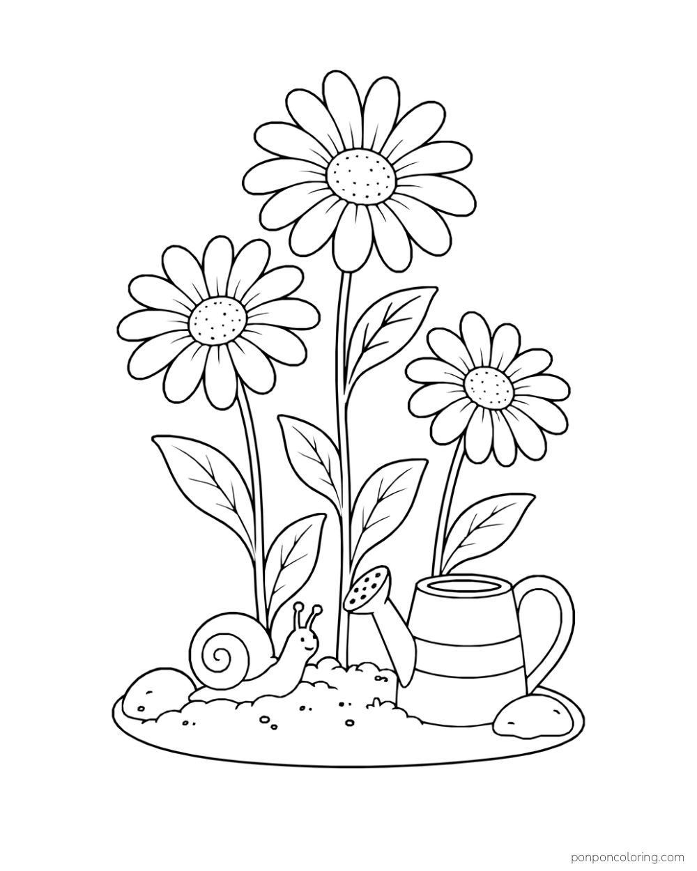 Three tall daisies growing beside a smiling snail, a banded watering can, and two stones on a small soil patch.