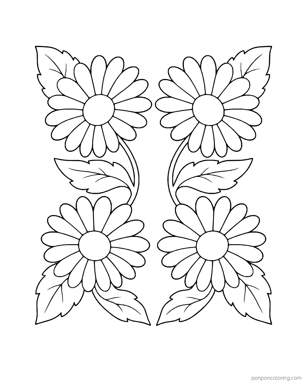Four daisies form a square arrangement with large corner leaves.