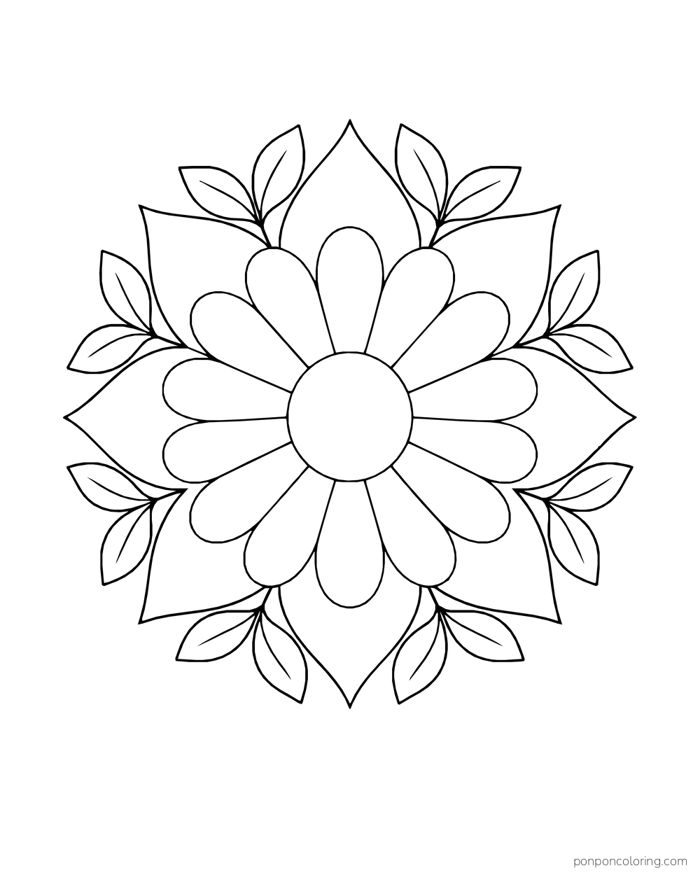 A daisy sits in a layered lotus rosette with pointed outer petals and leaves.