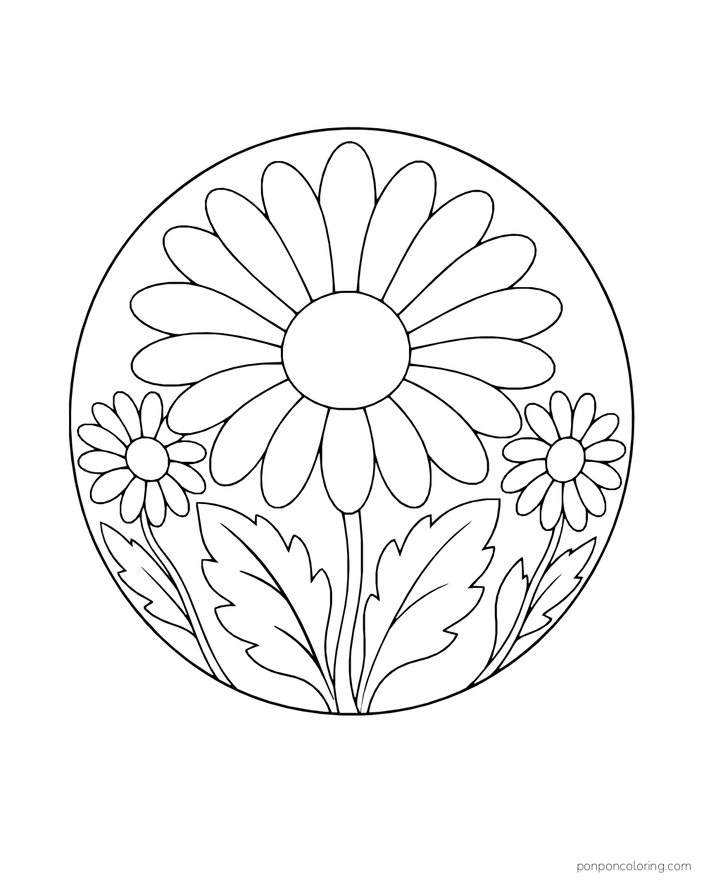 A large daisy sits inside a round medallion with two smaller blooms and broad leaves.