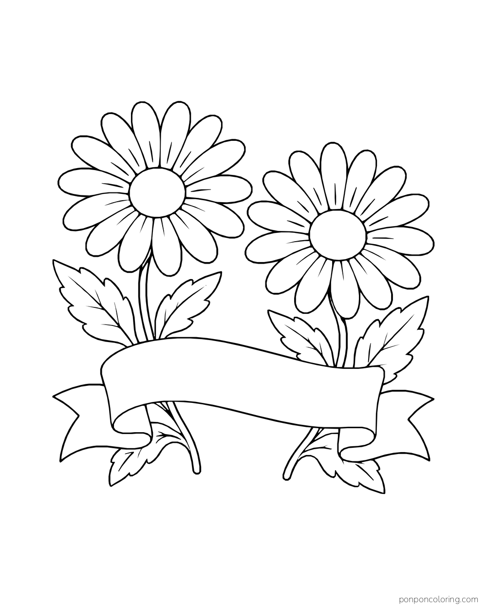 Two daisies and leaves rise above an empty flowing ribbon banner.