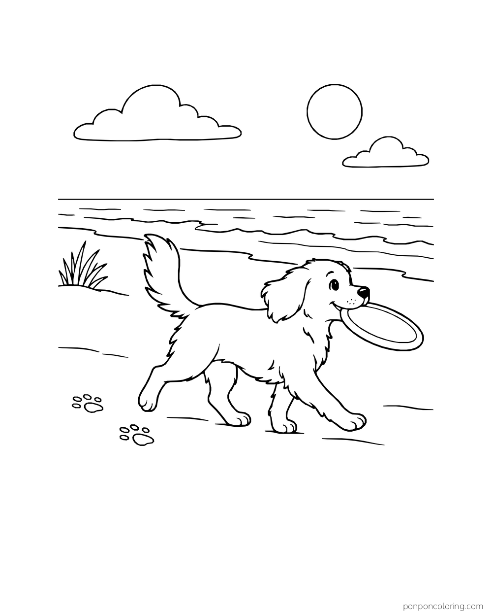 A small dog trots near the shore with a frisbee in its mouth.