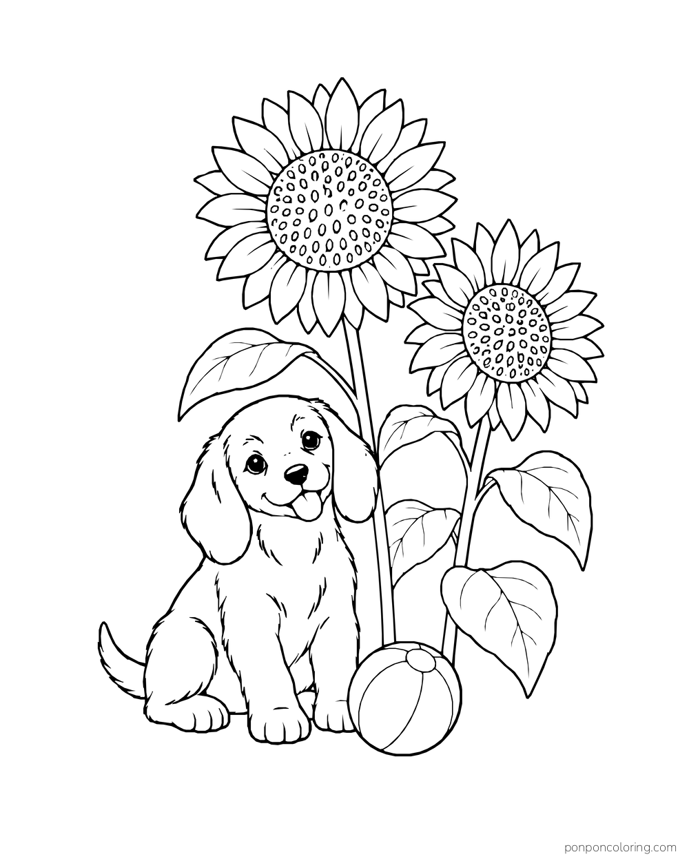 A floppy-eared dog sitting by two sunflowers with a ball at its paws.
