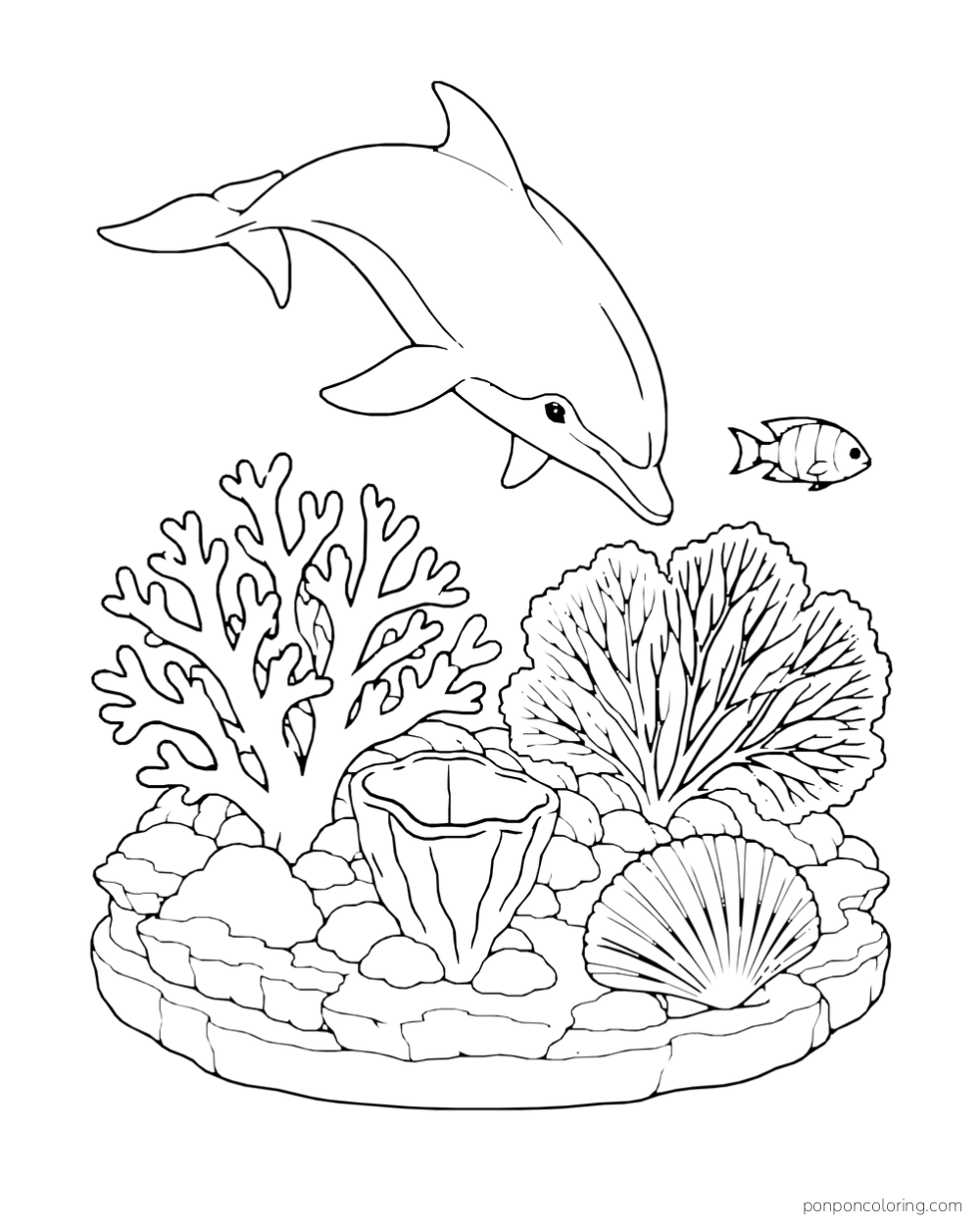 A dolphin swims over a detailed reef terrace with branching coral, a sea fan, a cup-shaped sponge, a scallop shell and one fish.